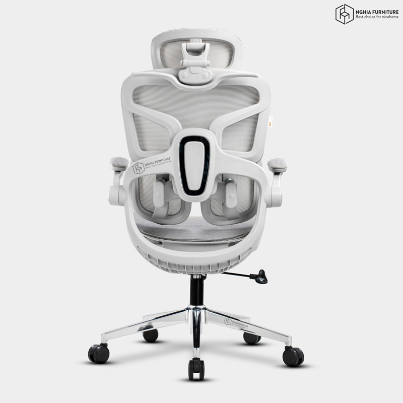 Ghế công thái học Tanji Basic Xám