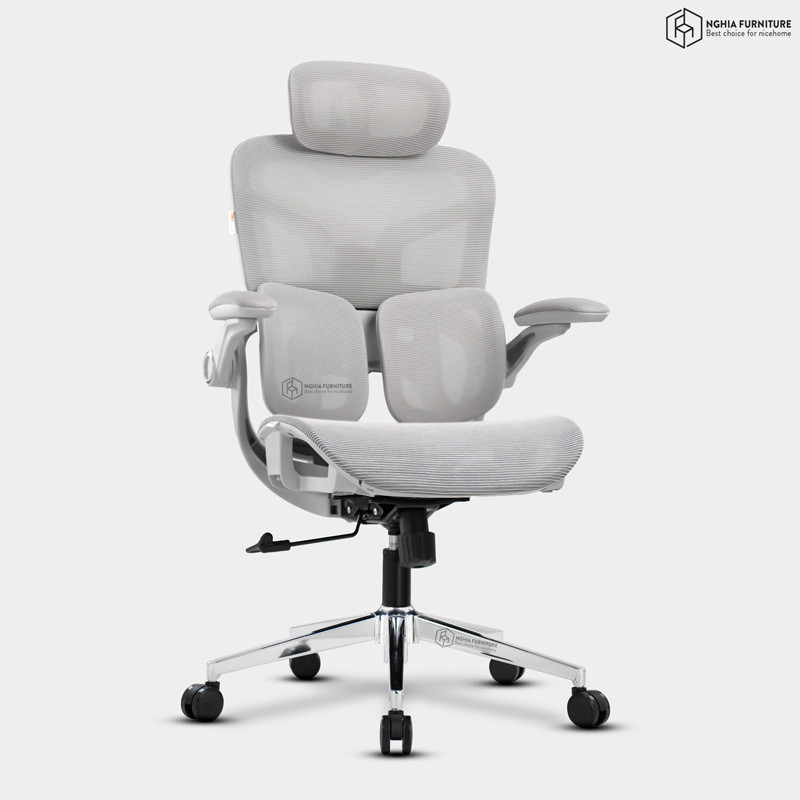 Ghế công thái học Tanji Basic Xám after