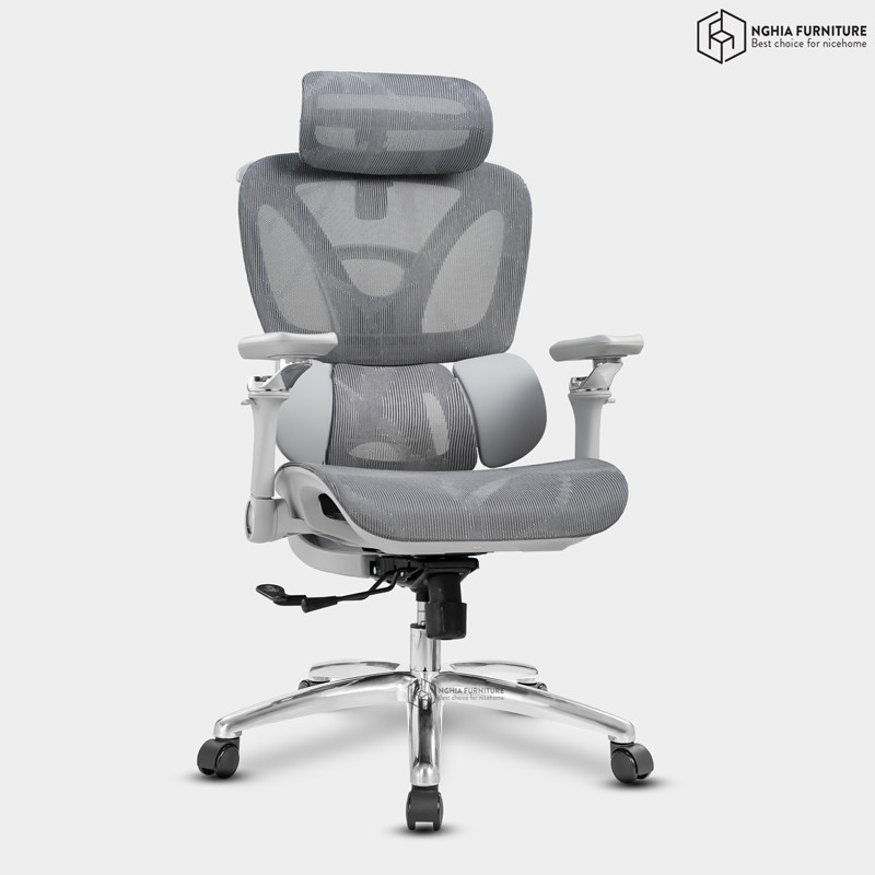Ghế công thái học Ergonomic 09 Xám after