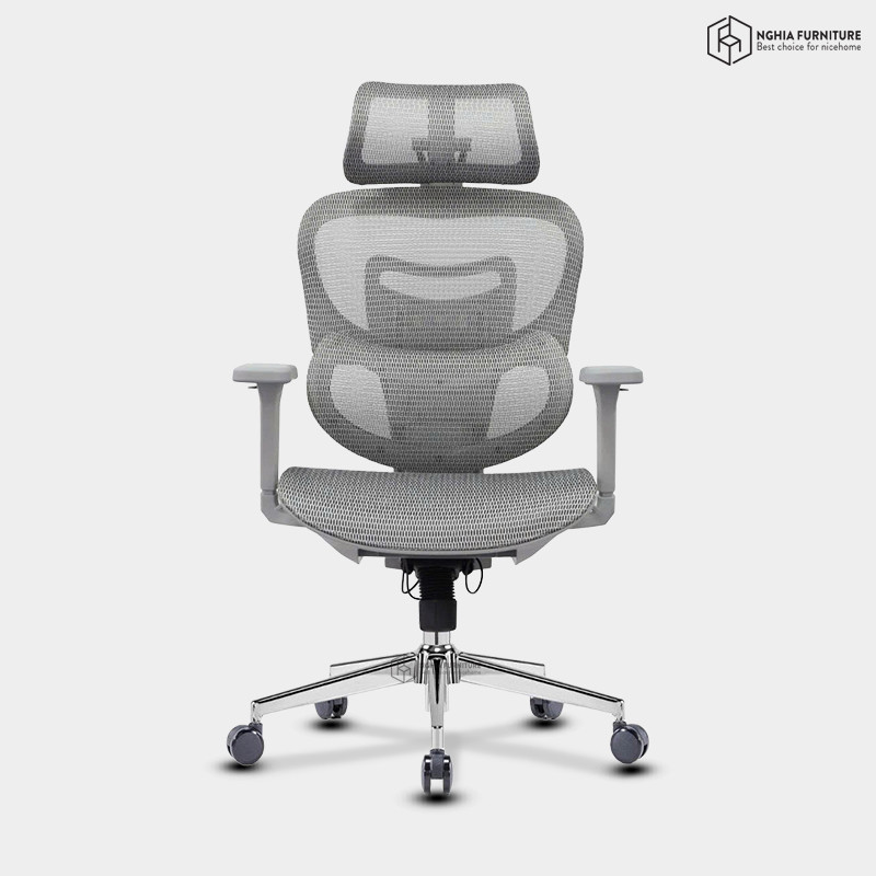 Ghế công thái học Kara Xám after